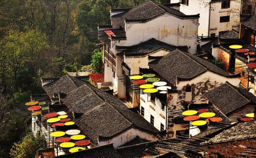 山東出發(fā)江西自駕游：廬山-鄱陽湖-石鐘山-婺源篁嶺6日賞秋之旅