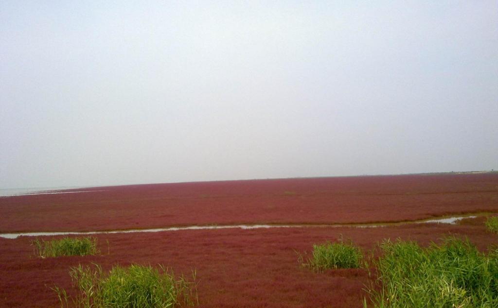 北京出發(fā)山東自駕游：朱家裕風(fēng)景區(qū)-黃河口生態(tài)旅游區(qū)-雪野湖3日自駕之旅