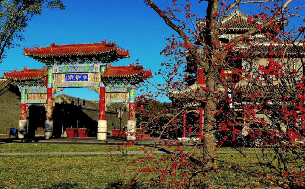 北京出發(fā)天津2日自駕游：楊柳青古鎮(zhèn)、辛口鎮(zhèn)采摘沙沃蘿卜、天津熱帶植物觀光園2日自駕