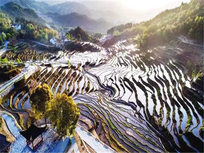 湖北武漢出發(fā)周邊自駕游：霧云山梯田-東坡赤壁1日踏青自駕游