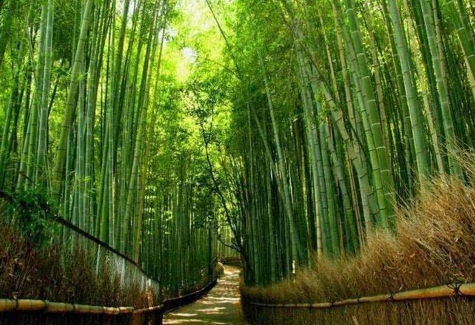 北京出發(fā)河南6日自駕：秋溝、地坑院、死海運(yùn)城鹽湖、王府竹海6日自駕