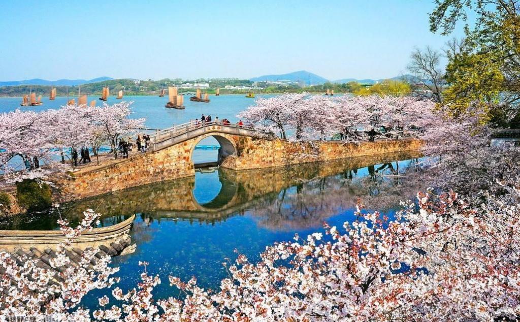山東出發(fā)江南賞花4日自駕路書：興化跺田花海-太湖黿頭渚櫻花-拈花灣禪意小鎮(zhèn)4日自駕游
