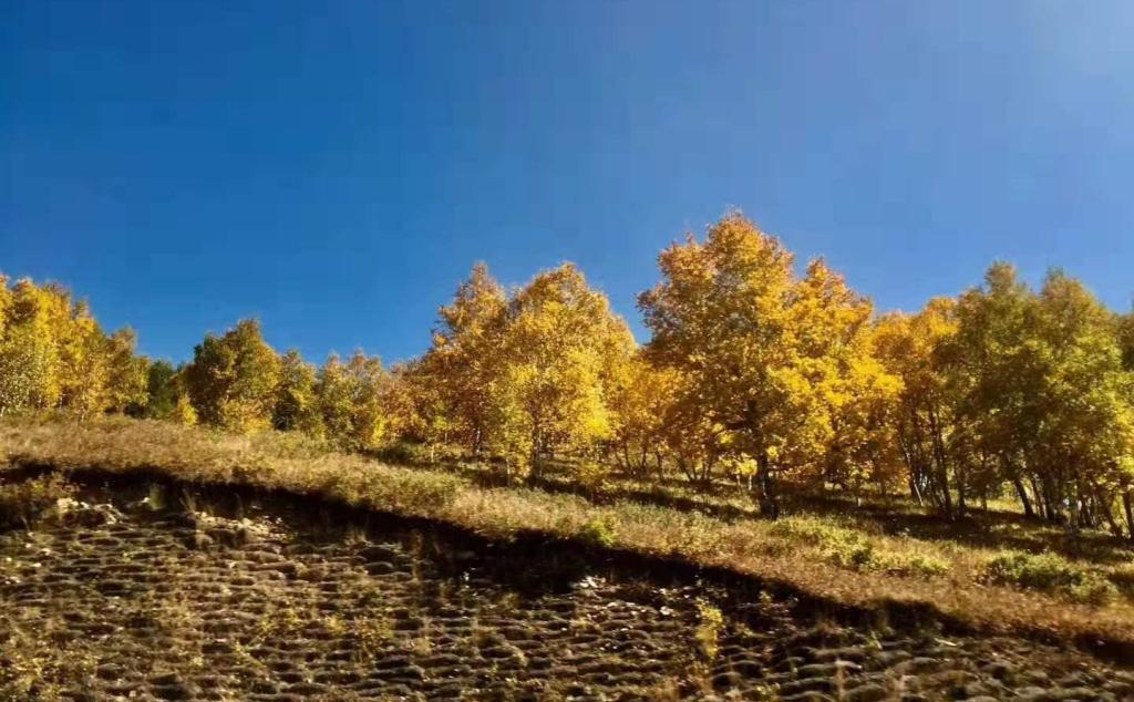 北京出發(fā)內蒙5日自駕游：熱阿線-達達線-翁跟毛都-西拉木淪大峽谷5日自駕游