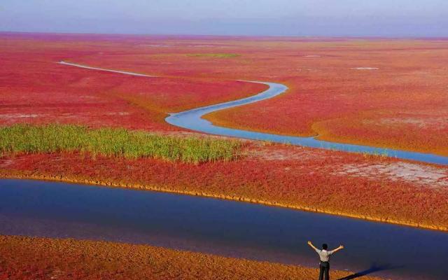 濟南周邊自駕游：黃河入?？?東營紅地毯-冬棗采摘2日周末體驗活動
