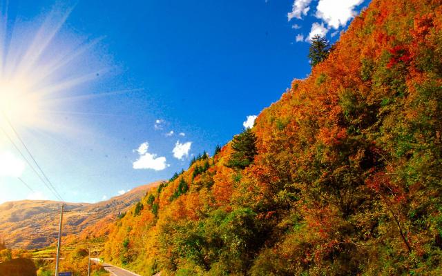 成都周邊2日秋季賞紅葉自駕游：奶子溝-八十里彩林風(fēng)情谷-卡龍溝2日自駕游