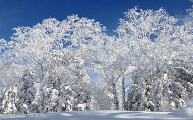 北京出發(fā)東北雪鄉(xiāng)7日自駕游：中國最美雪鄉(xiāng)、查干湖冬捕、虎峰嶺霧淞、雪鄉(xiāng)溫泉