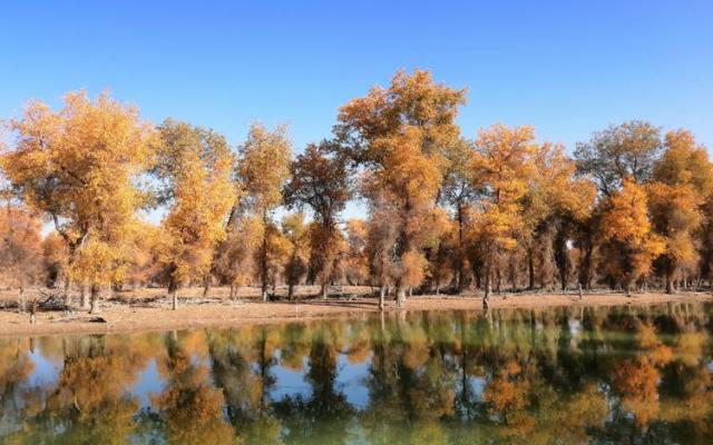 武漢出發(fā)烏魯木齊集合南疆10日落地自駕游：穿越沙漠公路-胡楊林公園-享新疆美食-游老城的大街小巷10