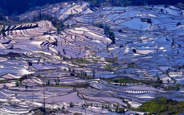 重慶出發(fā)云南6日自駕游：建水古城-元陽梯田-蒙自-碧色寨追憶芳華-羅平油菜花6日自駕之旅