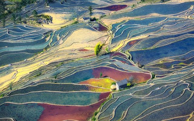 山東出發(fā)云貴14日深度自駕游：羅平油菜花、元陽梯田、撫仙湖14日自駕游