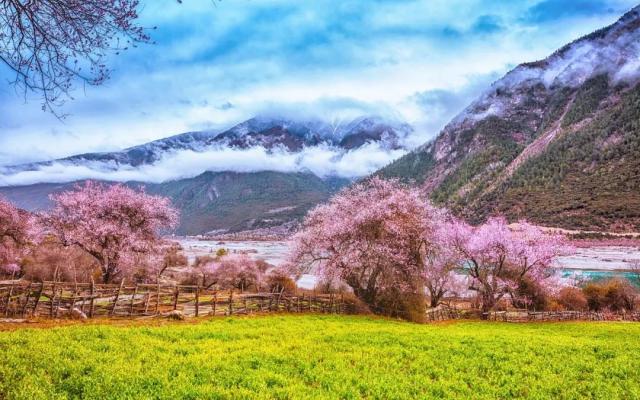 武漢出發(fā)西藏20日自駕游：金川梨花-林芝桃花-川藏南北線穿越20日自駕