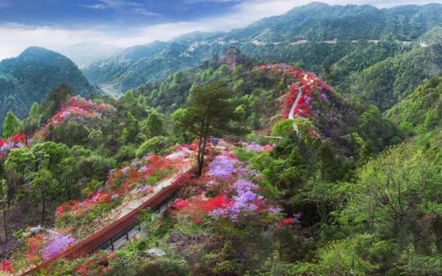 武漢周邊岳西天峽：岳西天峽-大別山百里杜鵑-華東第一大峽谷2日自駕游