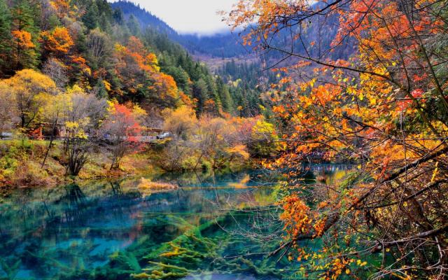 成都出發(fā)川西7日落地自駕：九寨溝-黃龍-達古冰川-羊絨哈德-畢棚溝-古爾溝7日自駕游