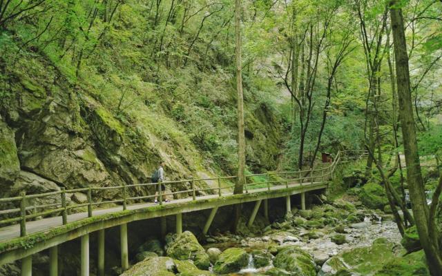 寧夏銀川出發(fā)4日自駕：牛背梁、柞水溶洞、陳爐古鎮(zhèn)、終南山寨、袁家村4日自駕游