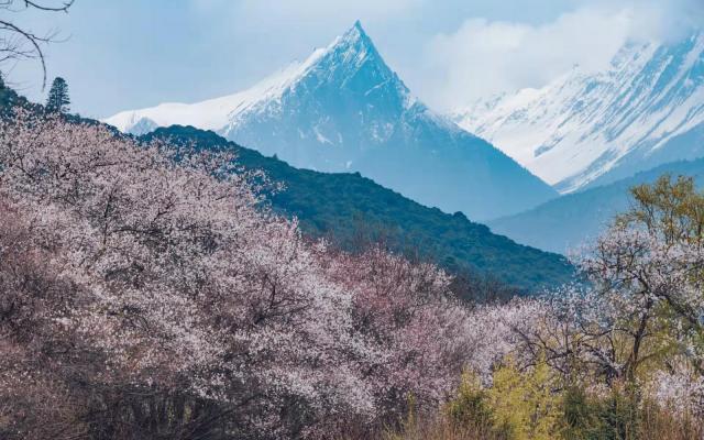 西藏林芝桃花節(jié)16日自駕游：【藏地花開(kāi)】成都-川藏線318-秘境墨脫-拉薩-青藏線16日自駕游